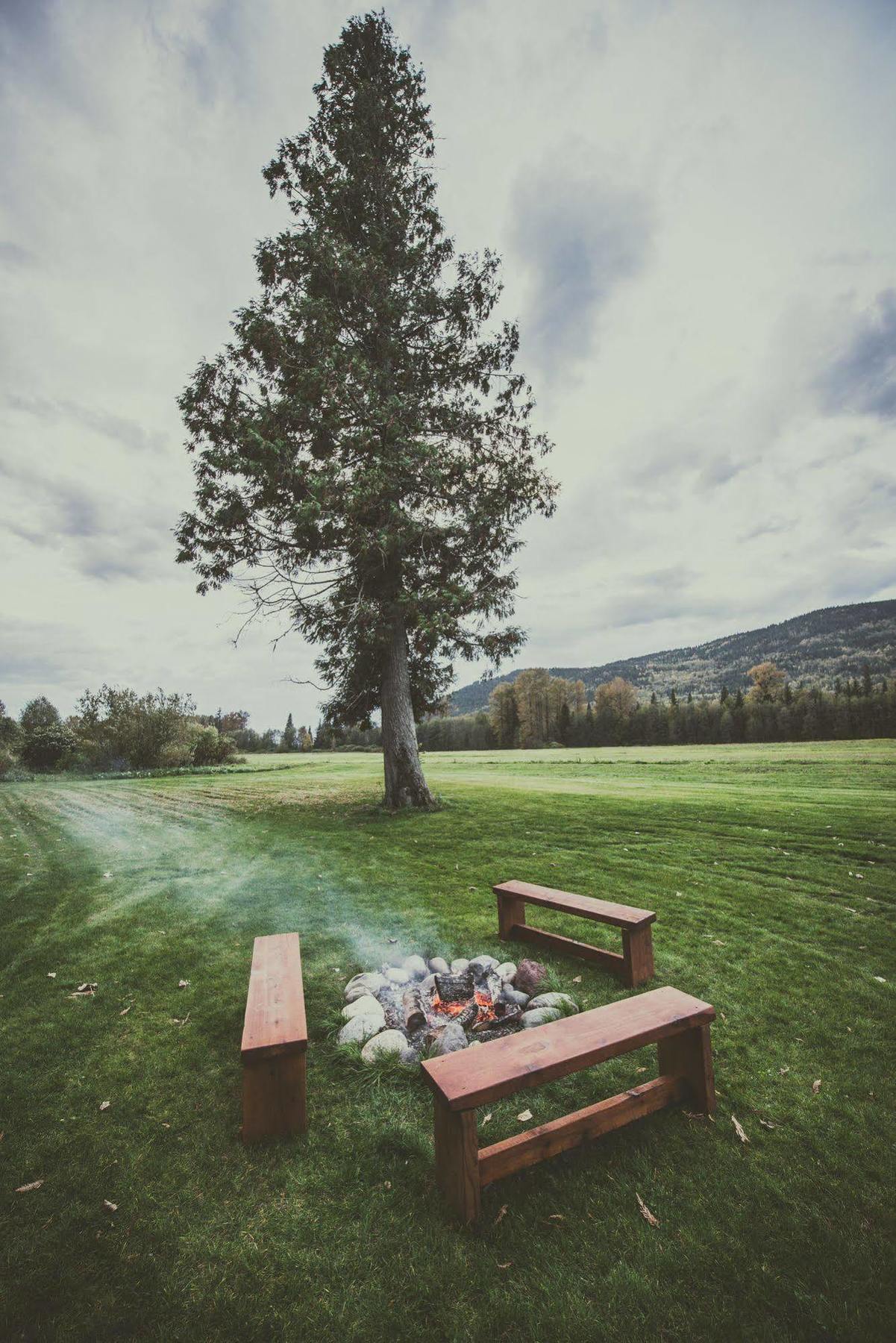 Hidden Acres Farm And Treehouse Resort Terrace Exterior foto